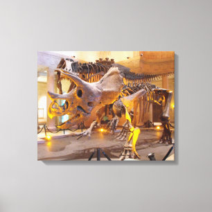 Copie squelettique de toile de Triceratops