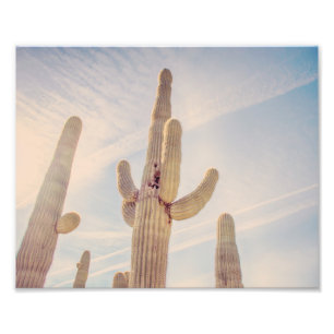 Copie trés haute de photo des cactus   de Saguaro