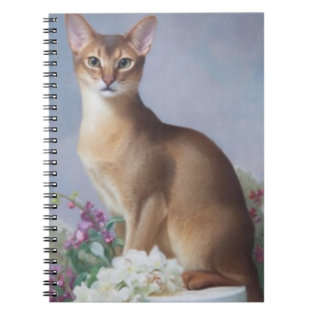 Copper Beauty – Abyssinian Cat Notebook Notizblock (Vorderseite)