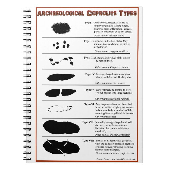 Coprolite archéologique dactylographie le carnet (Devant)