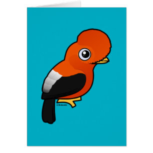 Coq-de-le-rock andin