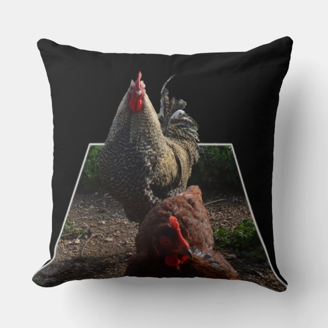 Coq Fluffy Et Gros Coussin À Throw. (Recto)