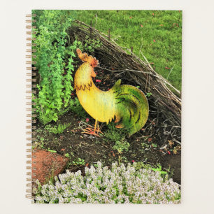 Coq jaune et vert