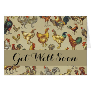 Coq Poulet de la ferme Volaille animale Pays