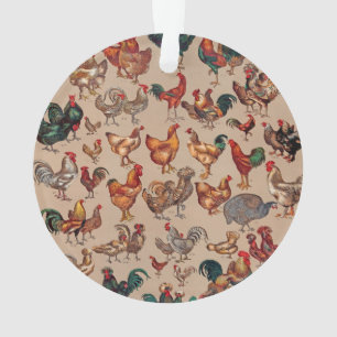 Coq Poulet de la ferme Volaille animale Pays