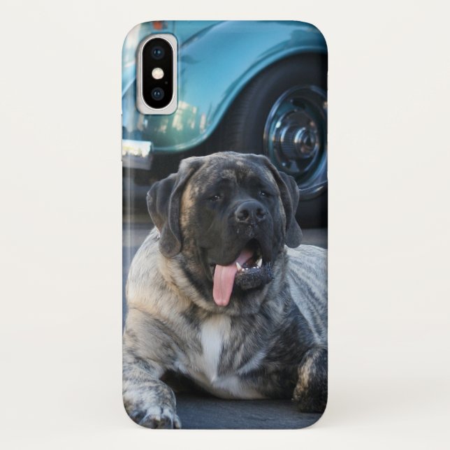 coque anglais Mastiff dog iPhone X (Dos)