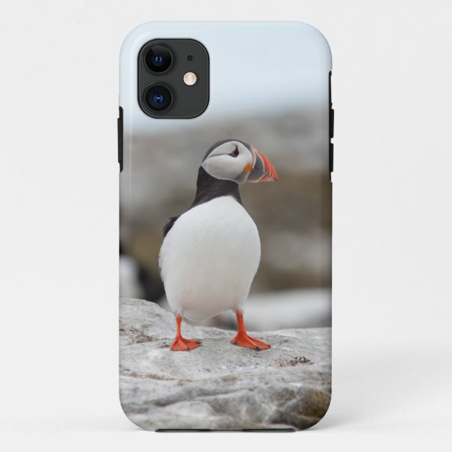 Coque Case-Mate Pour iPhone Coque iphone 5 de macareux (Dos)