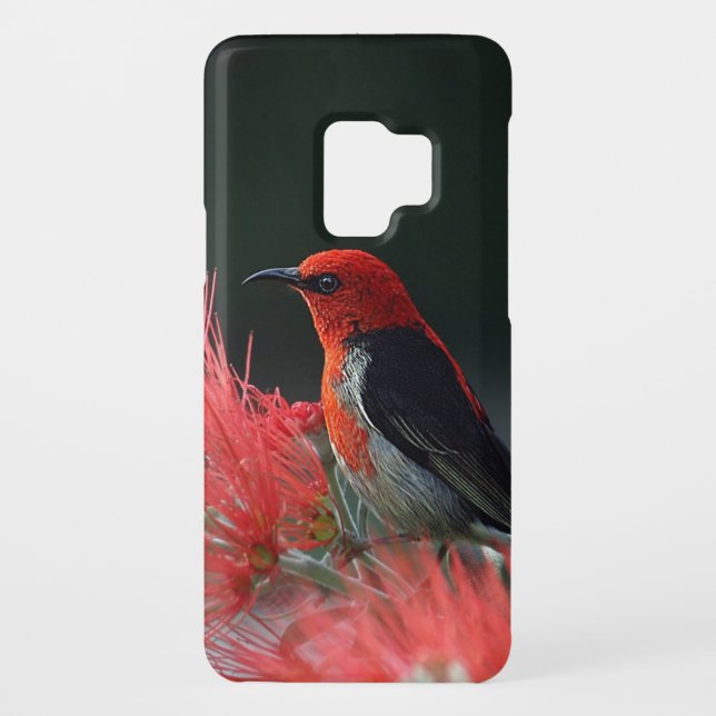 Coque Case-Mate Pour Samsung Galaxy Scarlet Honeyeater Photo (Dos)