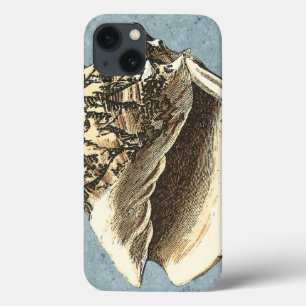 Coque conique en pierre
