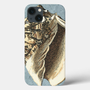 Coque conique en pierre