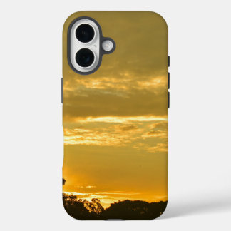 coque de ciel déréglé - teintes jaunes de la sérén