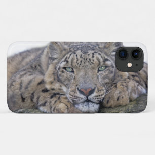 Coque de l'iPhone 11 de Regard vert