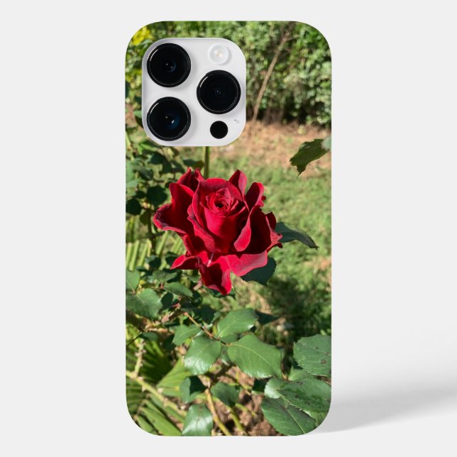 Coque Deep Red Rose iPhone 14 Pro (Verso)