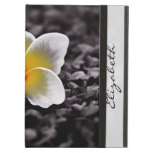Fleur d'Hawaï de Frangipani de Plumeria