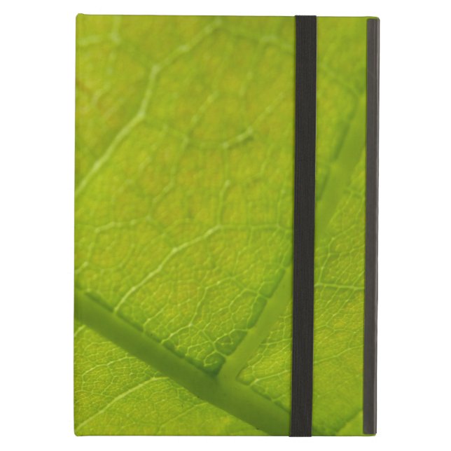 Coque iPad Air Photographie de la nature à feuilles vertes (Devant fermé)