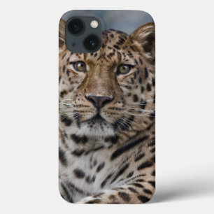 Coque ipad de pensées de léopard