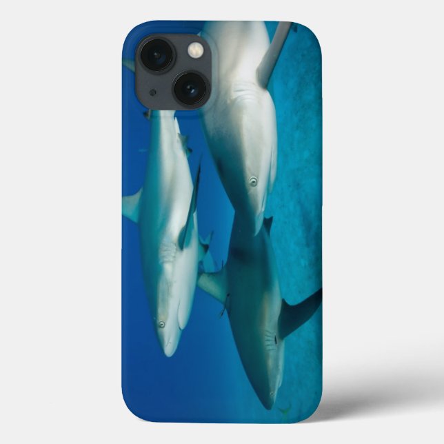 Coque ipad de trio de requin (Verso)