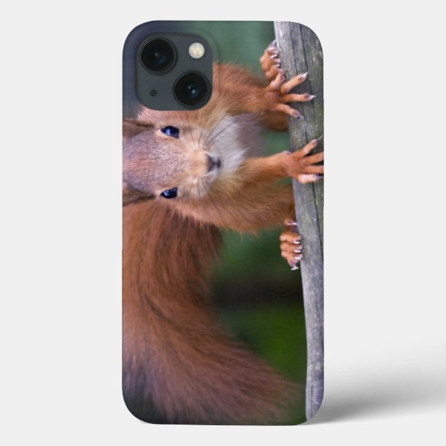 Coque ipad rouge bébé (Verso)