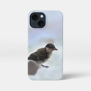 ETUI iPhone 13 MINI  