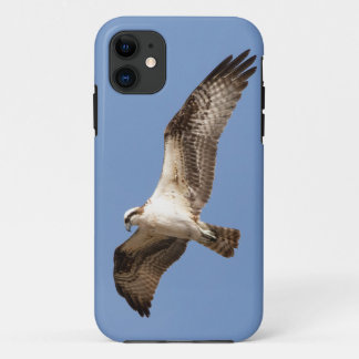 coque iPhone 11 avec balbuzard