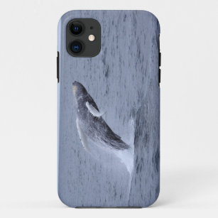 Coque iPhone 11 Violation de baleine de bosse de Coque-compagnon