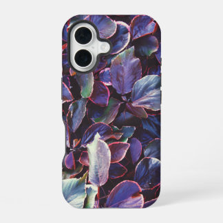 Coque iPhone 16 Acalypha Wilkesiana