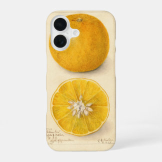 Coque iPhone 16 Belle Oeuvre Orange