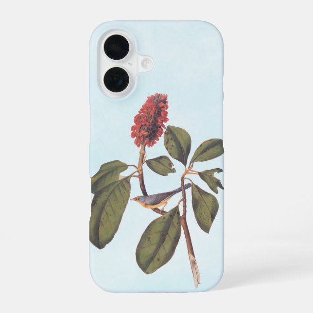 Coque iPhone 16 Bonaparte Moucherolle Canada Paruline Audubon Oise (Verso)