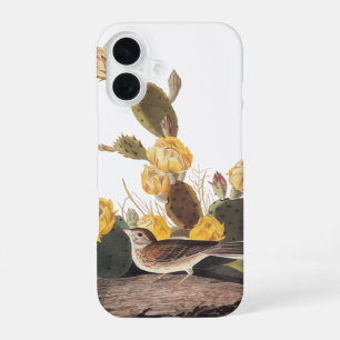 Coque iPhone 16 Bruant à ailes brunes Audubon Audubon Oiseau