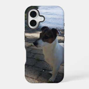 Coque iPhone 16 Capo von Oppenheim, chien Terrier Jack Russell