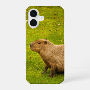 Coque iPhone 16 Capybara