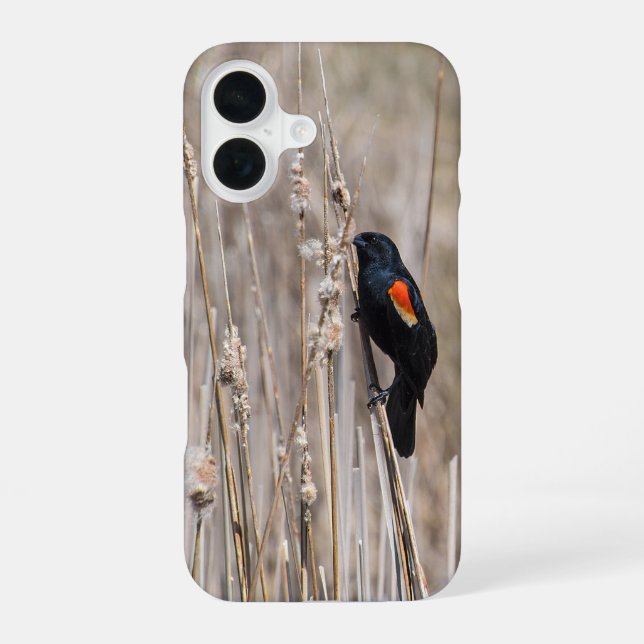 Coque iPhone 16 Carouge à épaulettes (Verso)