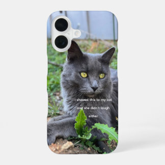 Coque iPhone 16 cat phone case 