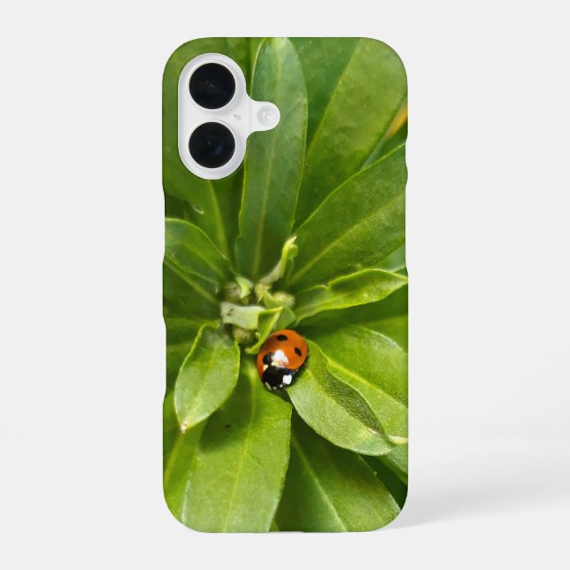 Coque iPhone 16 Coccinelle sur fleurs (Verso)
