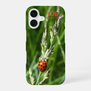 Coque iPhone 16 Coccinelle sur l'herbe