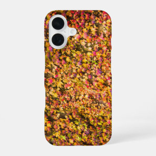 Coque iPhone 16 Couleurs d'automne dorées sur un mur de lierre