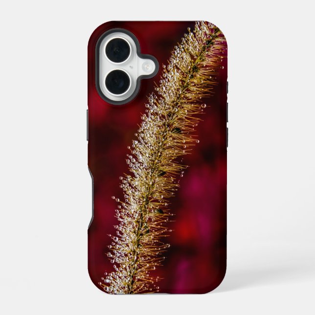 Coque iPhone 16 Dew du matin (Verso)