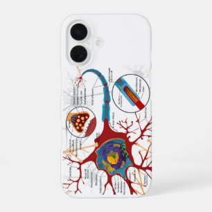 Coque iPhone 16 Diagramme Neurone Complet Cellule Nerf Système Ner