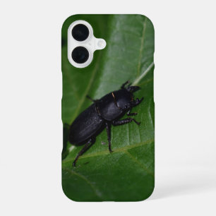 Coque iPhone 16 Dorcus parallelipipedus, le moindre dendroctone du