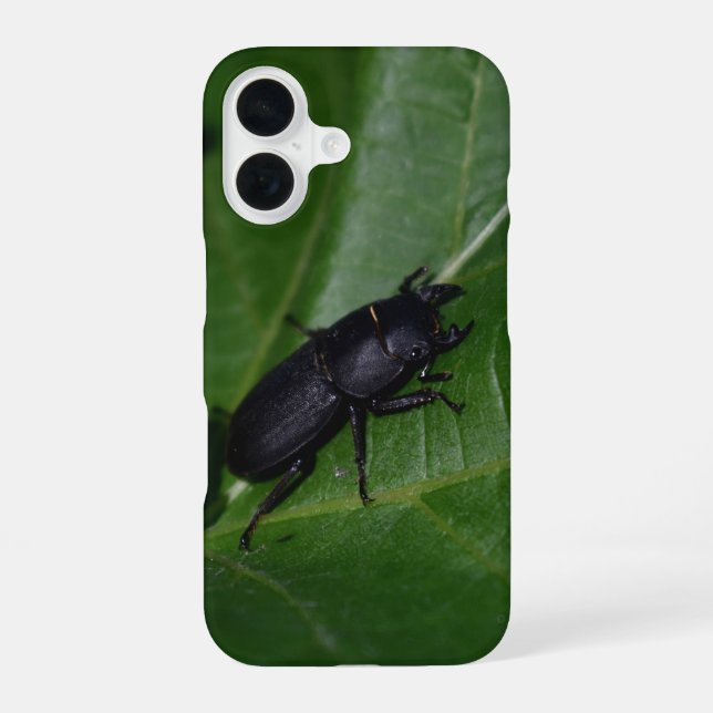 Coque iPhone 16 Dorcus parallelipipedus, le moindre dendroctone du (Verso)