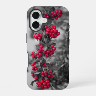 Coque iPhone 16 Étui de téléphone à Baies de Pyracantha