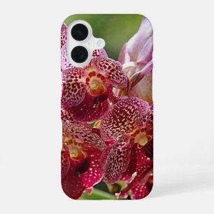 Coque iPhone 16 Grappe d'orchidées Vanda tropicales