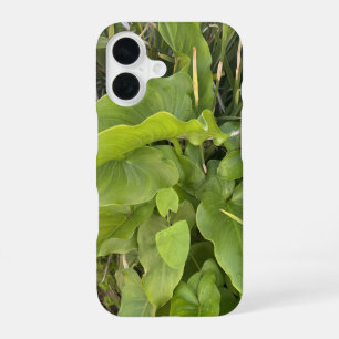 Coque iPhone 16 Jardin Jardin Closeup Nature extérieure Photo