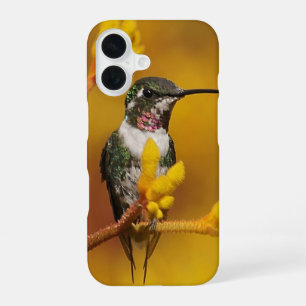 Coque iPhone 16 Lueur dorée