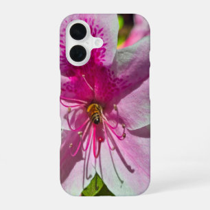 Coque iPhone 16 magnifiques fleurs d'azalée rose au Descanso Garde
