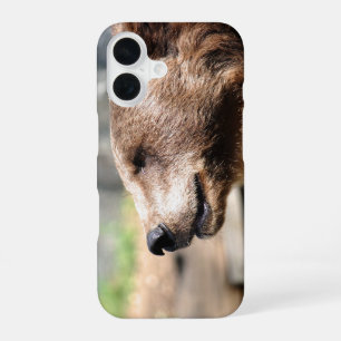 Coque iPhone 16 Maître Bruin...