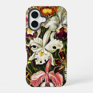 Coque iPhone 16 Orchidées, Orchideae Denusblumen Ernst Haeckel 