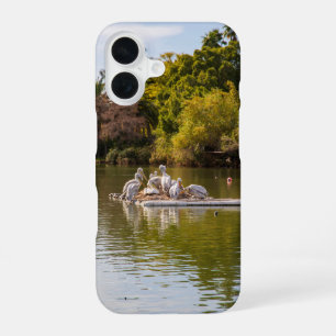 Coque iPhone 16 Pélicans sur le lac au Phoenix Zoo