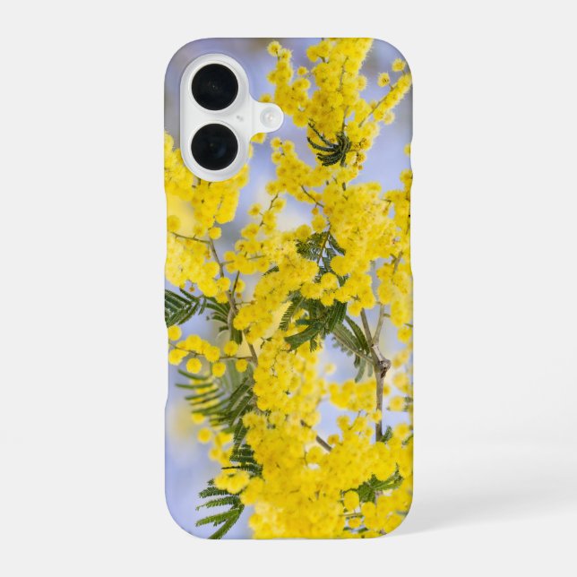 Coque iPhone 16 Phone Case (Verso)