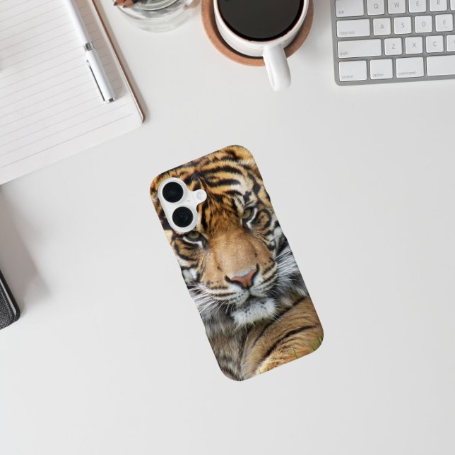 Coque iPhone 16 Photo de la faune du tigre de Sumatran (In Situ)